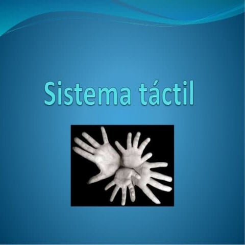 Sentido del tacto final