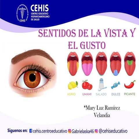 sentidos de la vision y el gusto 887643346788 | PPTX