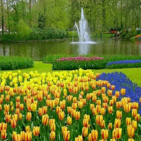 Sentimentos e Mensagens