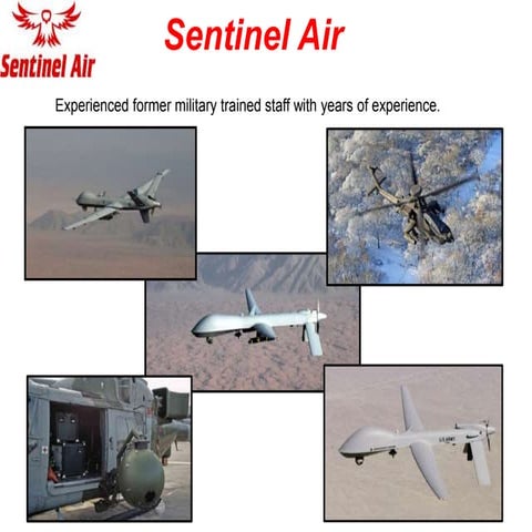 Sentinel Air LLC, Capability Brief