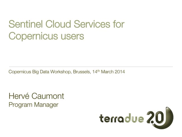 Sentinel Cloud Services for Copernicus users