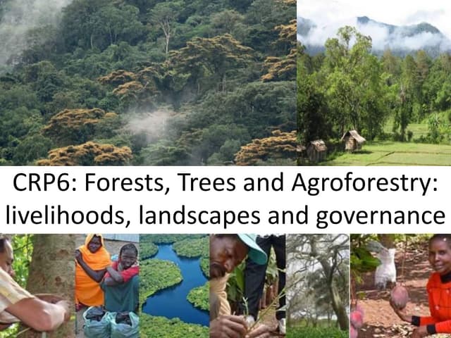 Sentinel Landscapes and Component 3: links in the CRP6