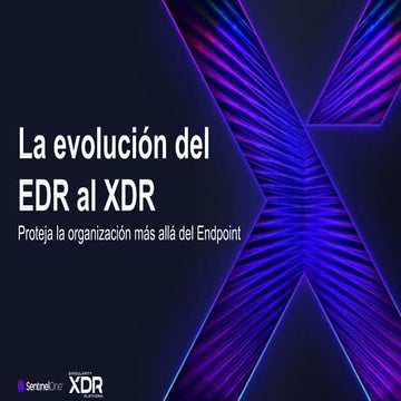SentinelOne XDR - Protección Endpoint-Cloud-identity.pdf
