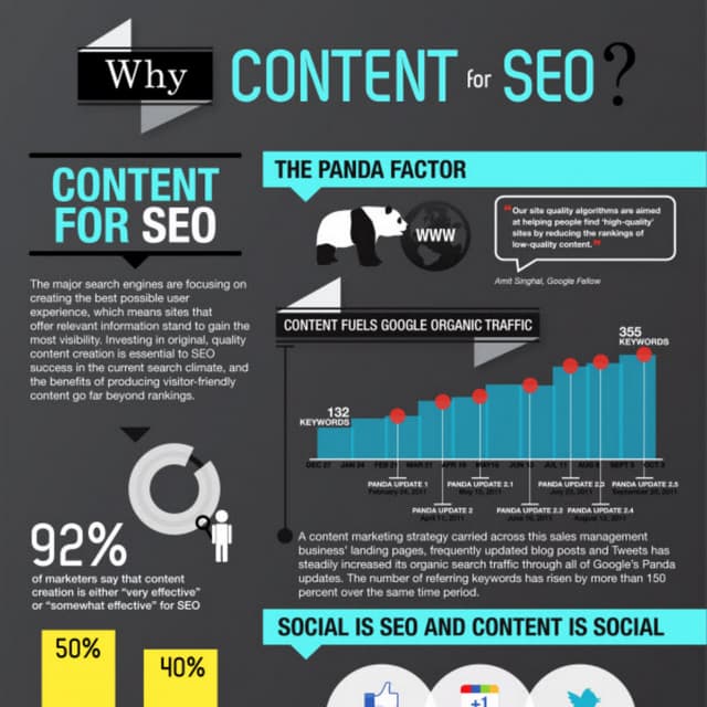 Seo and Content Infographic
