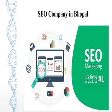 Seo company in bhopal