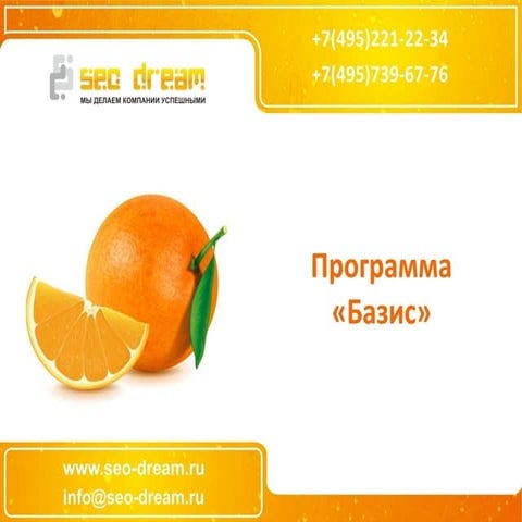 презентация Seo dream (программа базис)1