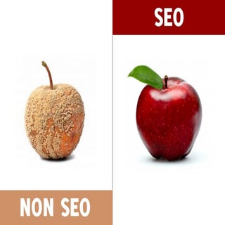 Seo e Non Seo