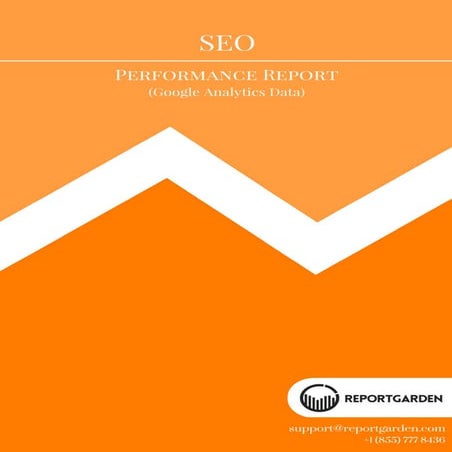 SEO Reports