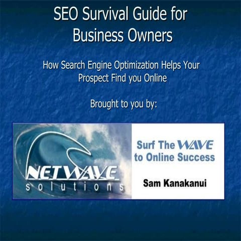 Seo Survival Guide for Business Owners