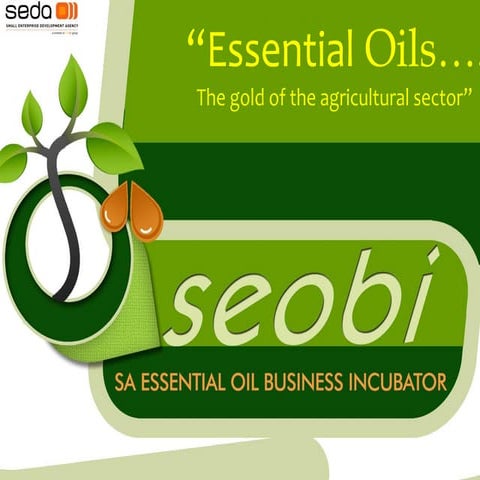 Ellis Levember - Part 1