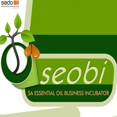 Ellis Levember - Part 2