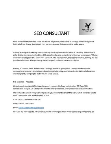 SEO CONSULTANT.pdf