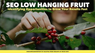 SEO Low hanging Fruit: Identifying SEO Opportunities to Achieve Results Fast ...
