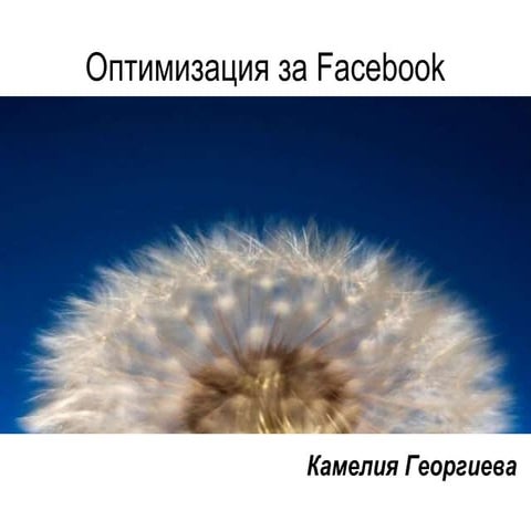 Facebook Optimization