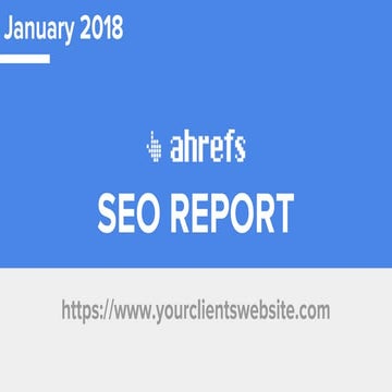 Seo report [template]