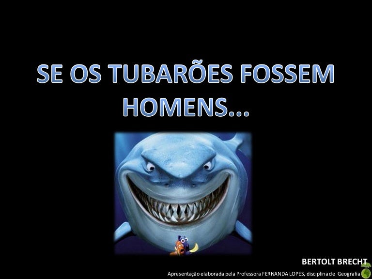 Se Os Tubarões Fossem Homens Perguntas E Respostas