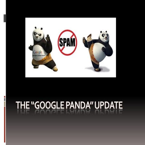 The Google Panda Update