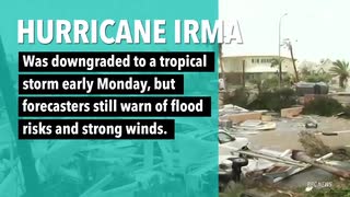 Irma downgraded to tropical storm, employee-provided Google data suggests gender pay gap, and more news.