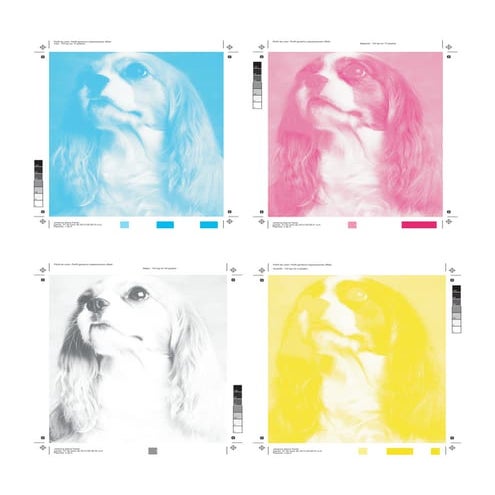 Separacion de colores corel draw | PDF