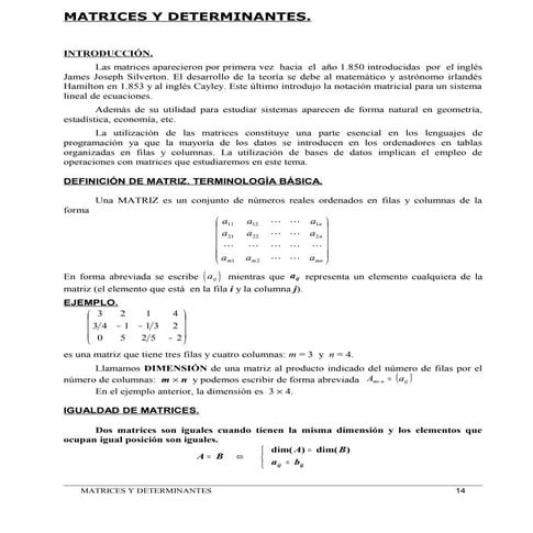 Separata de matrices | PDF