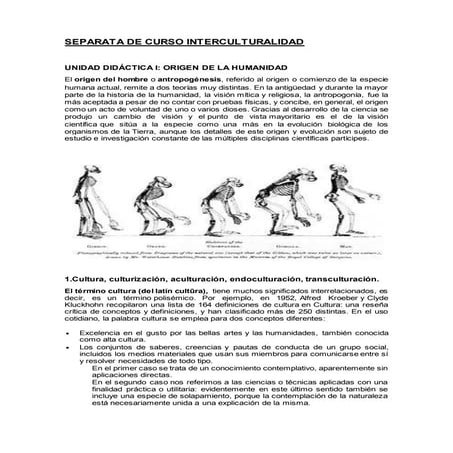 Separata interculturalidad