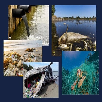 Types of mixtures for grade 6 science ppt | PDF