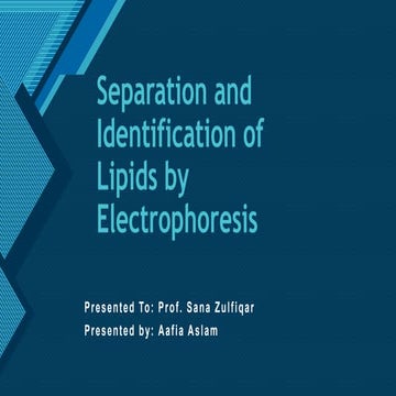Separation and Identification of Lipids by Gel Electrophoresis