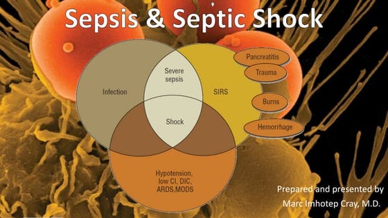 Pathology and Pathophysiology of Shock | PDF