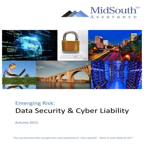 Sept 2012   data security & cyber liability