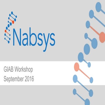 Sept2016 sv nabsys