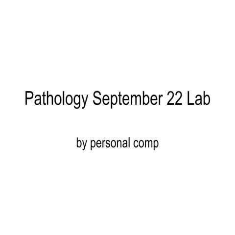 September 22 Lab | PPT