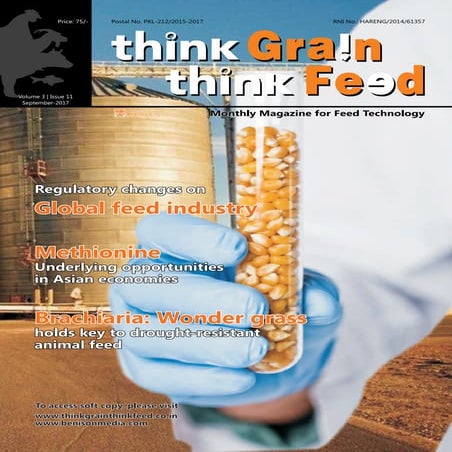 Think Grain Think Feed September issue | PDF