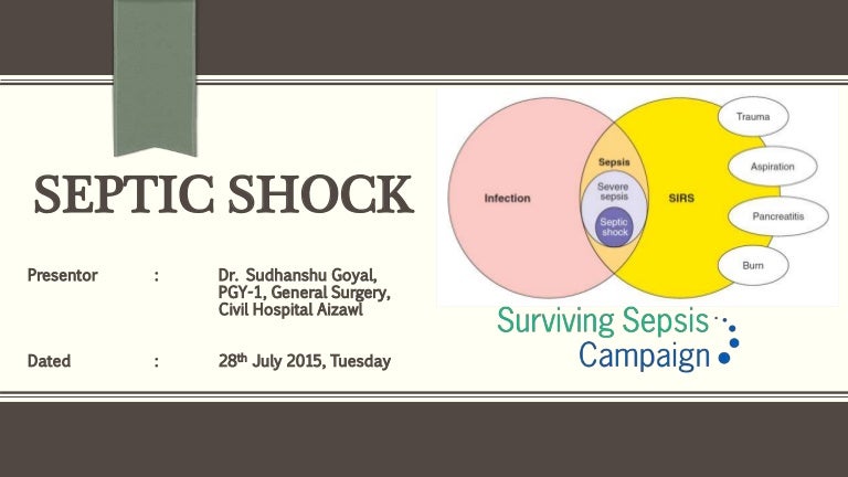 septic system shock treatment reviews septic system shock treatment reviews