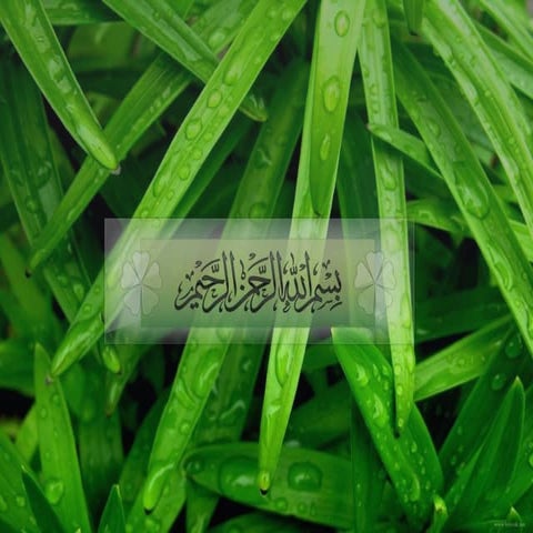 Septic shock  sirs and mof