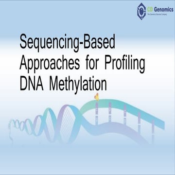 Sequencing based approaches for profiling dna methylation