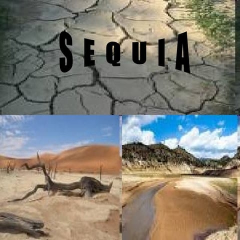 Sequia Power | PPS