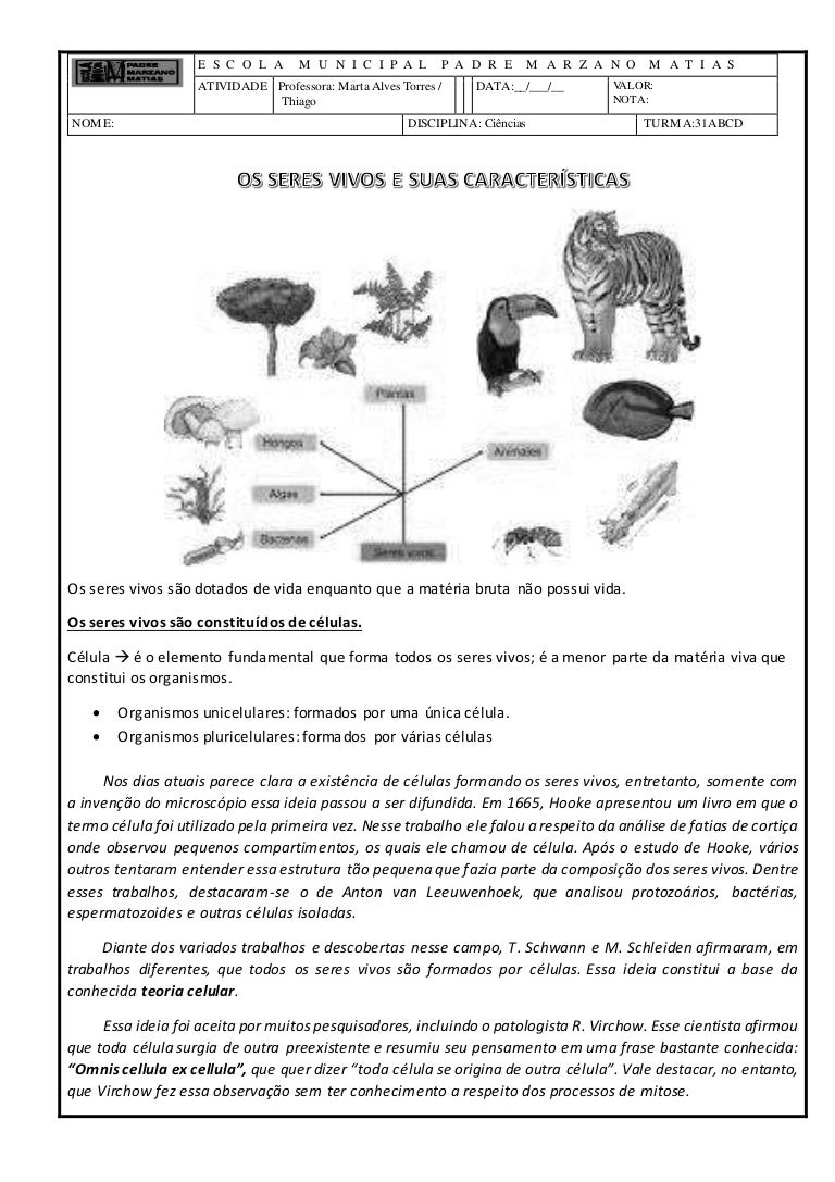 Considere As Seguintes Características Atribuídas Aos Seres Vivos