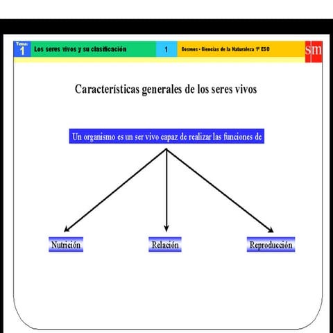 Seres vivos. clacificacion adm