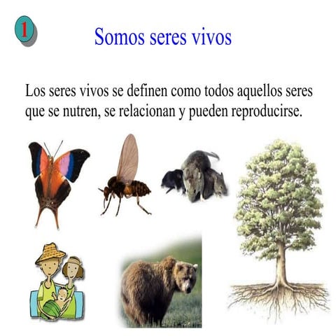 seresvivos.ppt