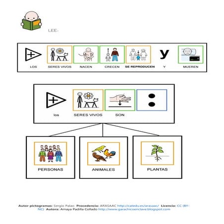 Seres vivos e inertes
