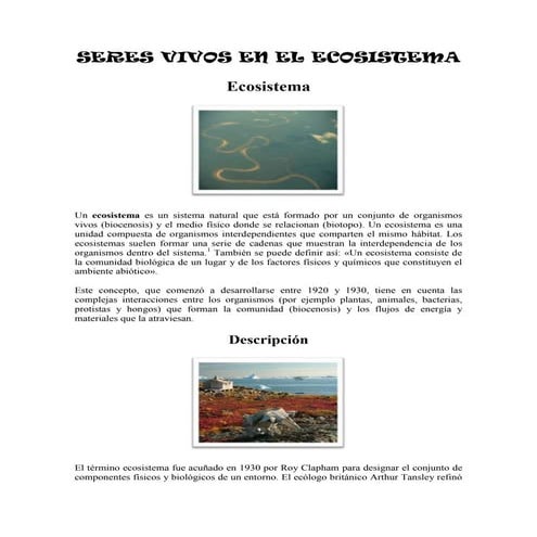 Los seres vivos en los ecosistemas | PPT