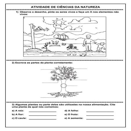 Seres vivos p1 | PDF