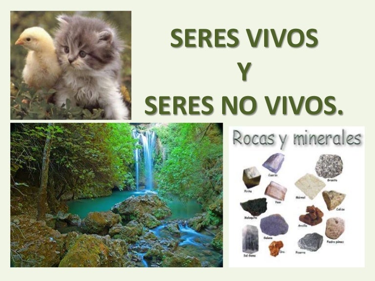 Seres Vivos Y No Vivos