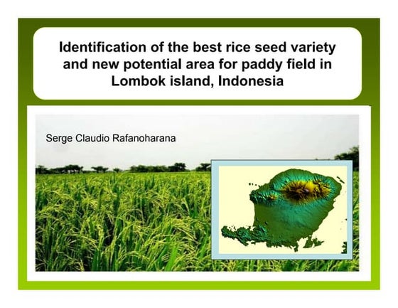 Paddy field improvement and crop quality research | PPTX