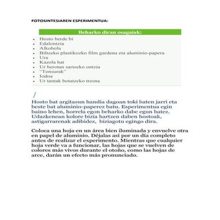 Fotosintesiaren esperimentua
