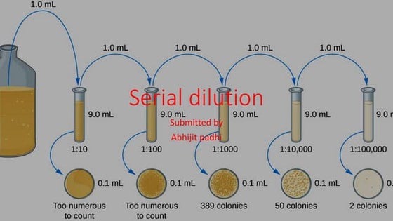 SERIAL DILUTION TECHNIQUE.pptx