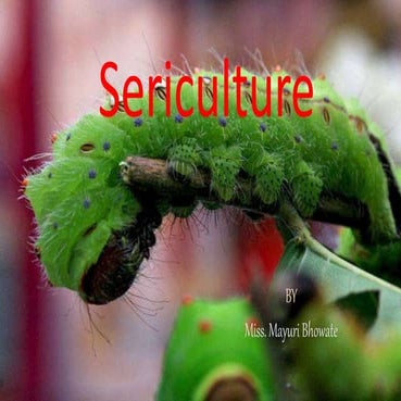 Sericulture