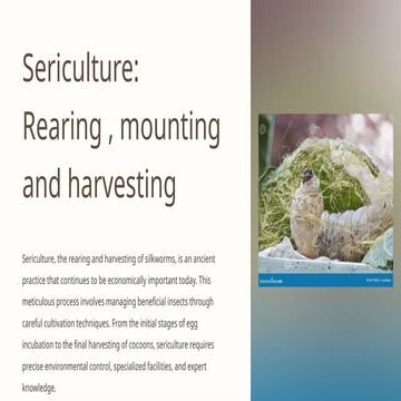 Sericulture- Rearing , mounting and harvesting.pptx
