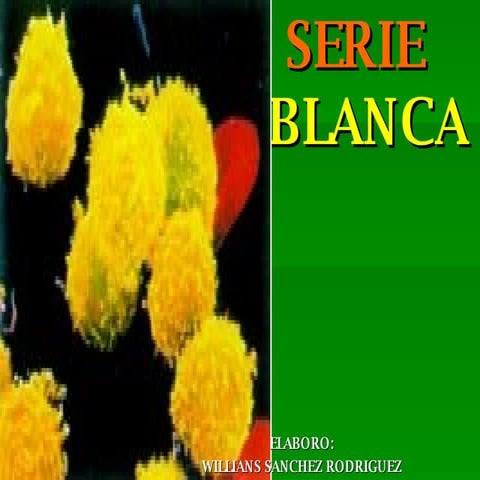 Serie blanca