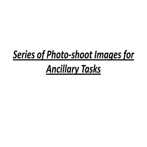 Series of photo shoot images for ancillary tasks